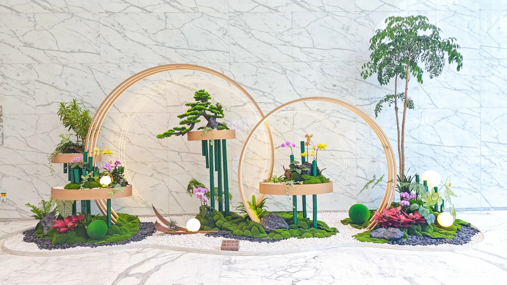 了解宁波前湾盆景出租方案,开启绿色之旅